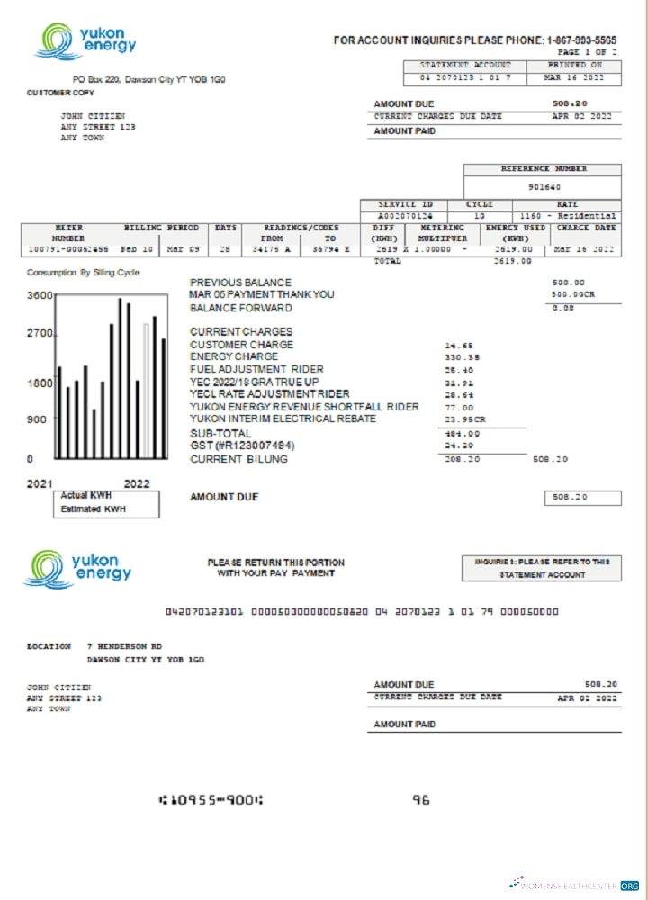 download download Canada Yukon Energy utility bill